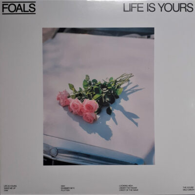 foals life is yours