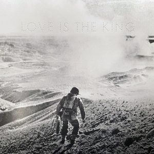 jeff tweedy love is the king