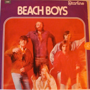 beach boys the beach boys