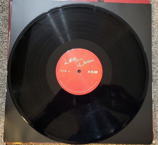 love, damini | burna boy