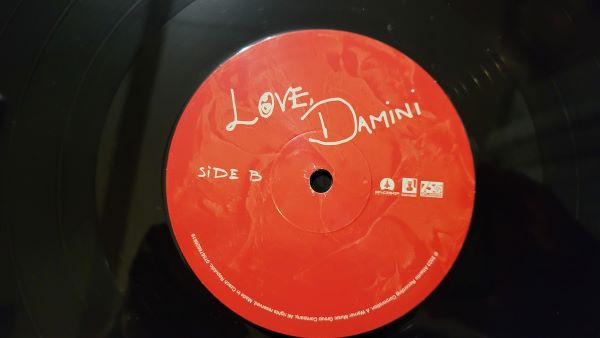 love, damini | burna boy