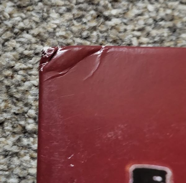 love, damini | burna boy