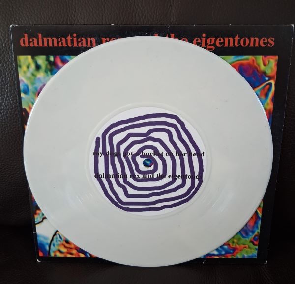 my dog?s got a bucket on her head | dalmation rex & the eigentones