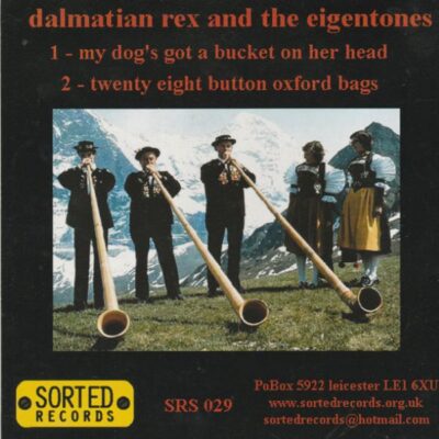 my dog?s got a bucket on her head | dalmation rex & the eigentones