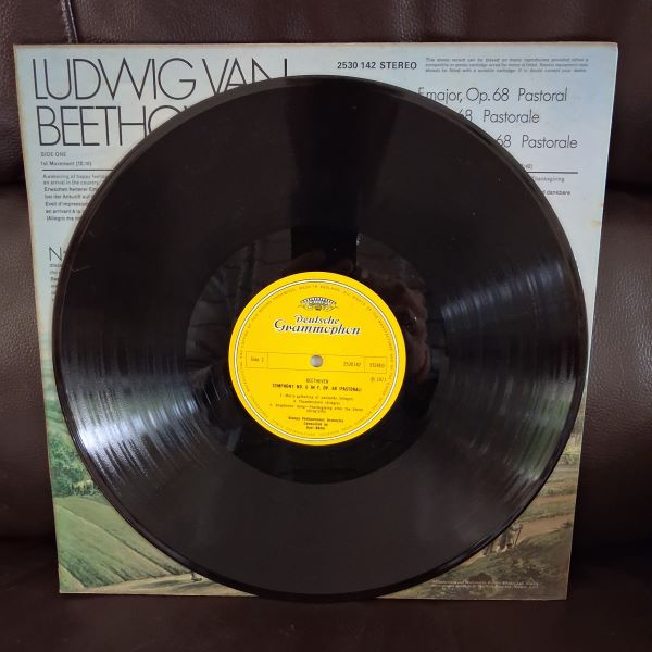 symphony no.6 in f major, op.68 (pastoral) | ludwig van beethoven